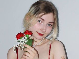 web cam live SandaPlocek
